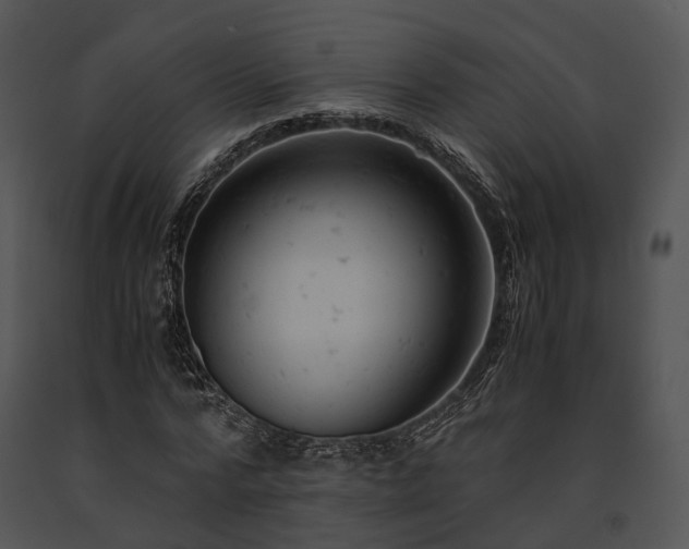 X0000091660776200708301438