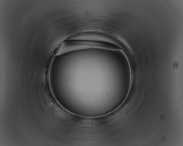 X0000091660777200708301438