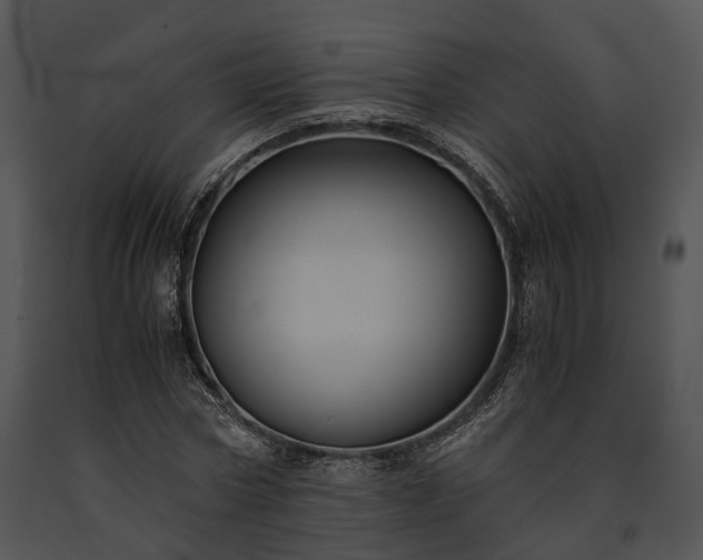 X0000091660778200708301438