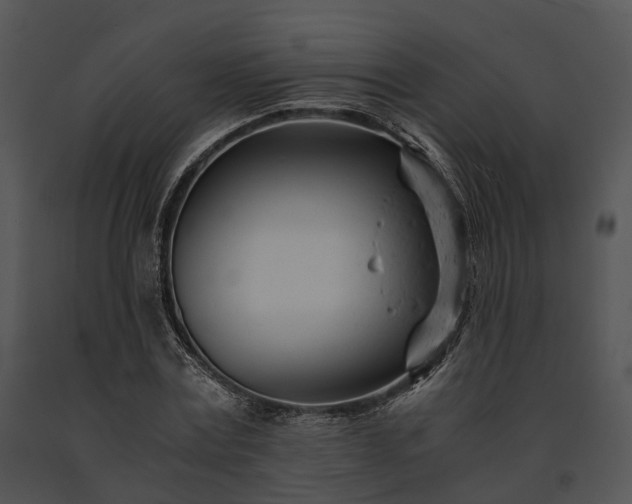 X0000091660779200708301438