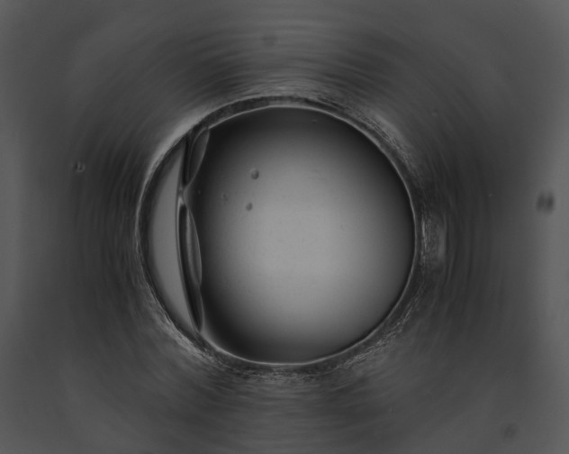 X0000091660780200708301438