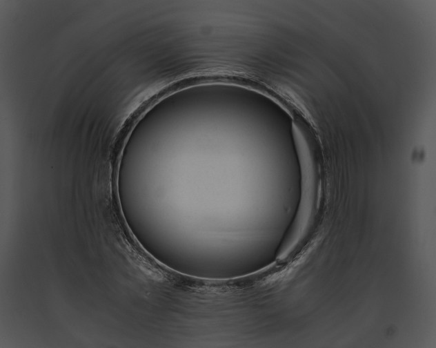 X0000091660781200708301438