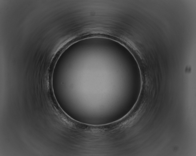 X0000091660782200708301438