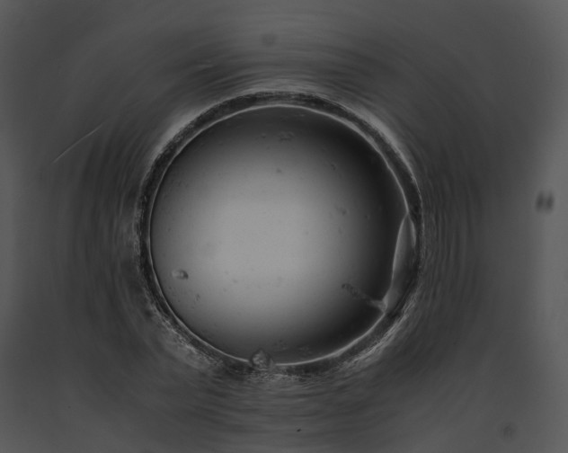 X0000091660783200708301438