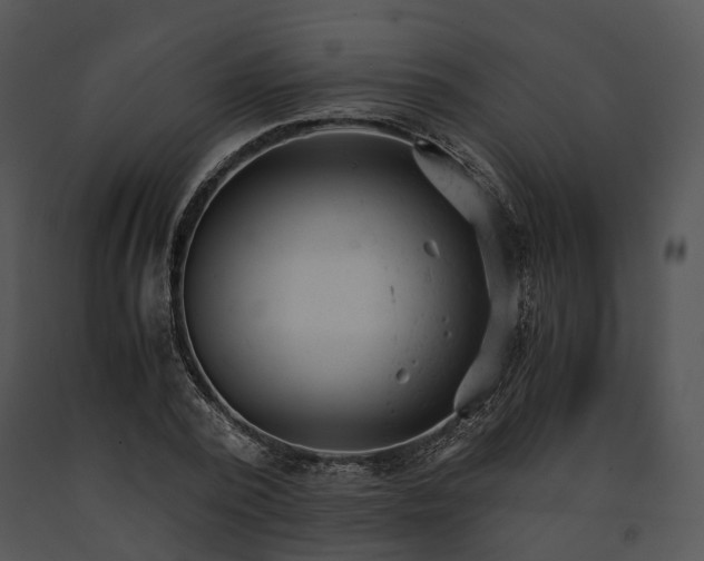 X0000091660784200708301438