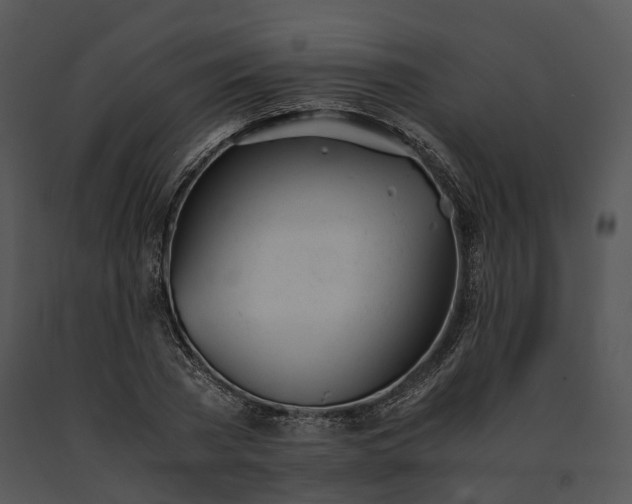 X0000091660785200708301438
