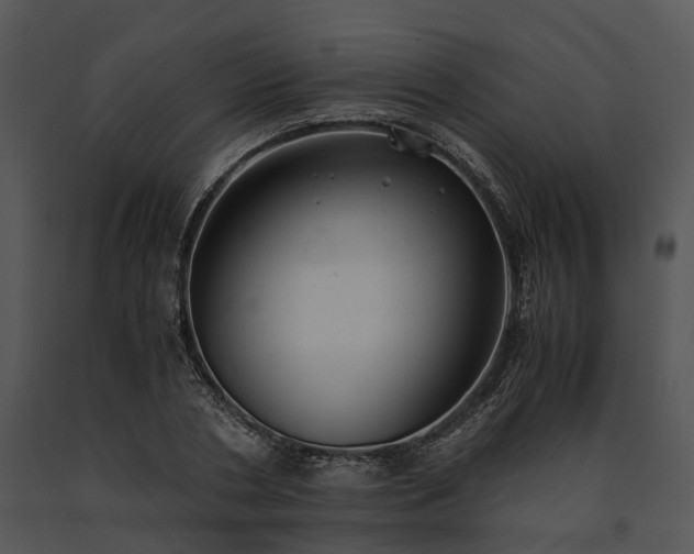 X0000091660786200708301438