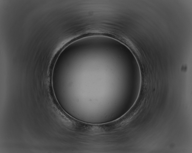 X0000091660787200708301438