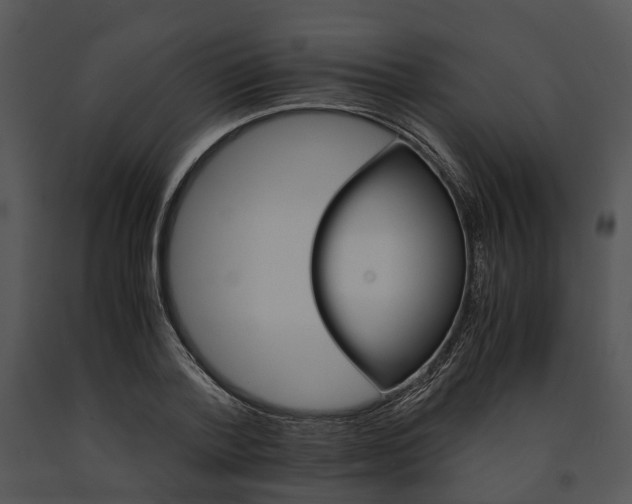 X0000091660788200708301438