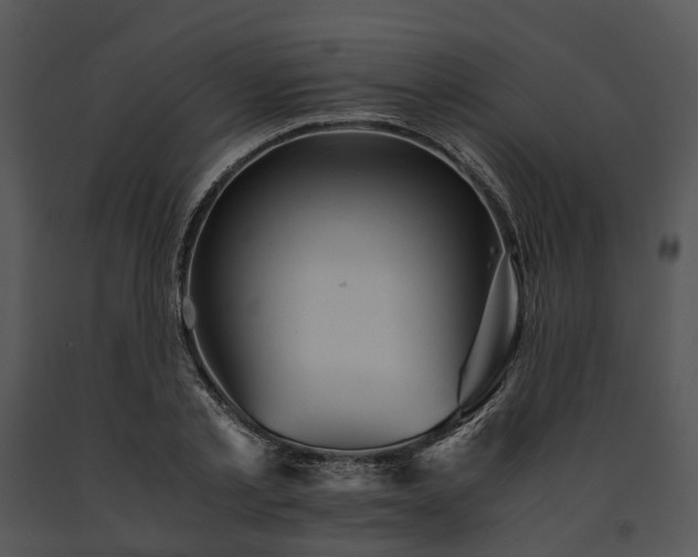 X0000091660789200708301438