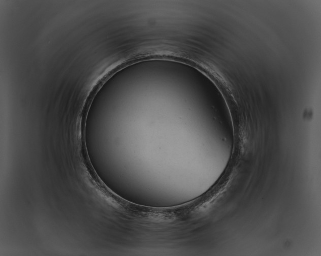 X0000091660790200708301438
