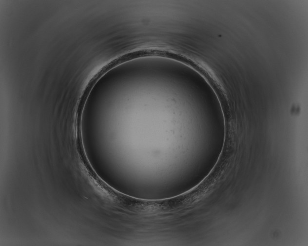 X0000091660791200708301438