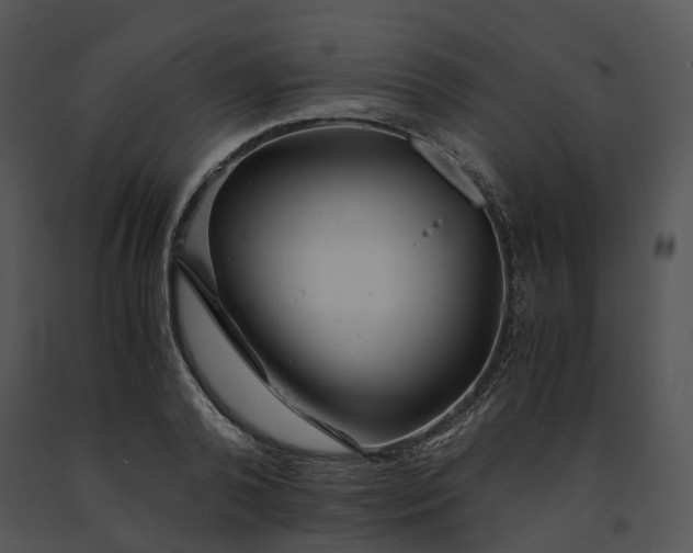 X0000091660792200708301438