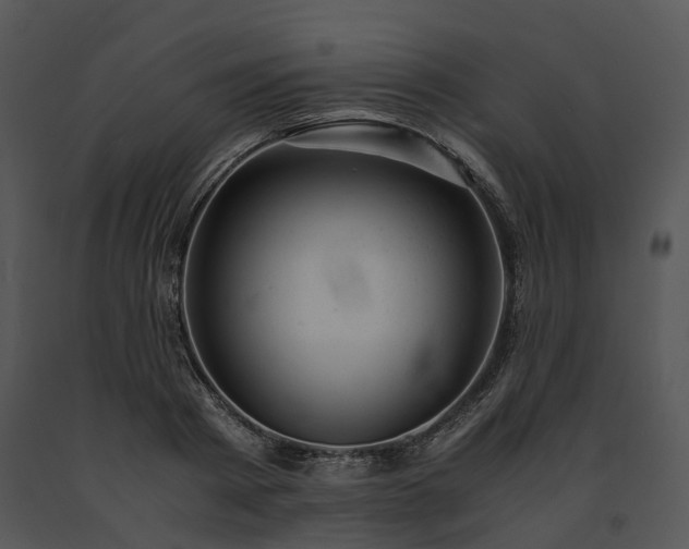 X0000091660793200708301438