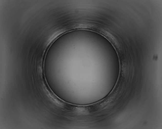 X0000091660794200708301438