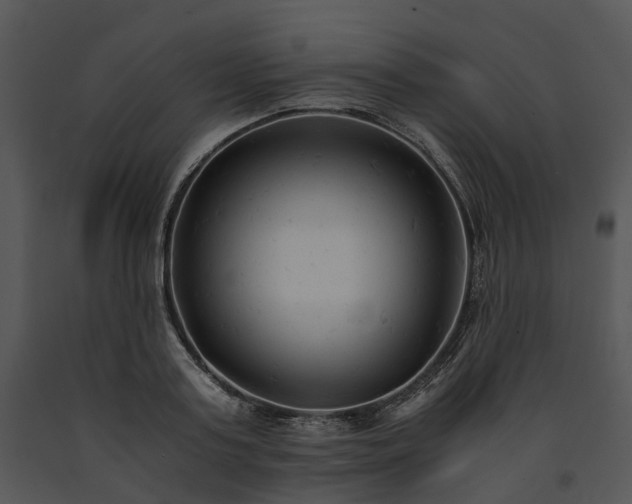 X0000091660795200708301438