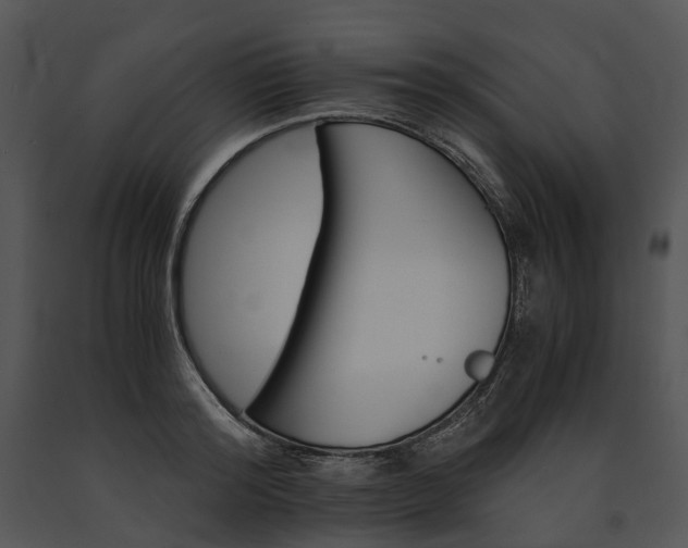 X0000091660796200708301438