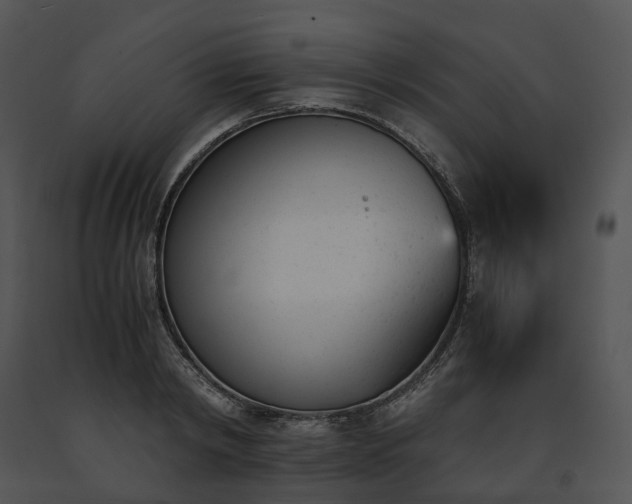 X0000091660798200708301438