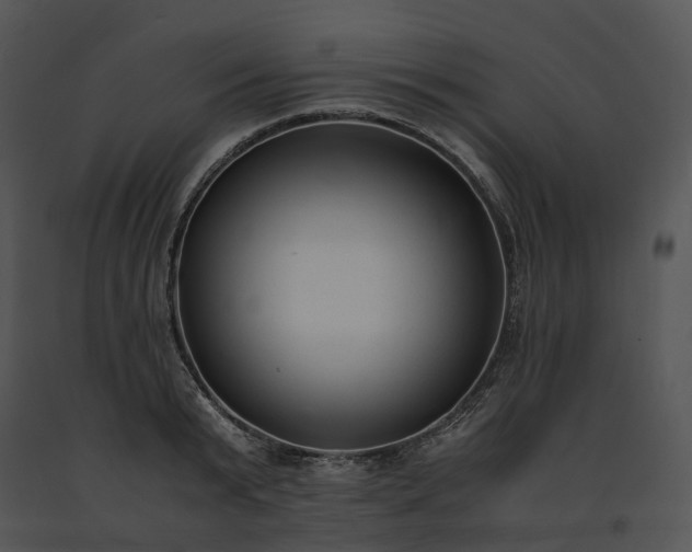 X0000091660799200708301438