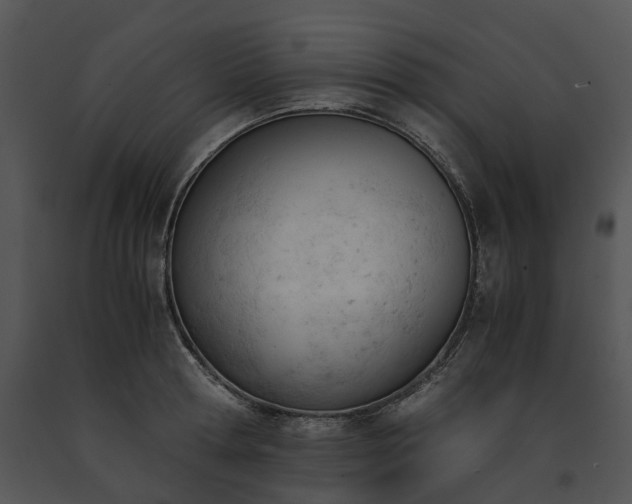 X0000091660802200708301438