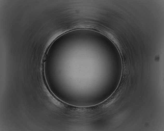 X0000091660803200708301438