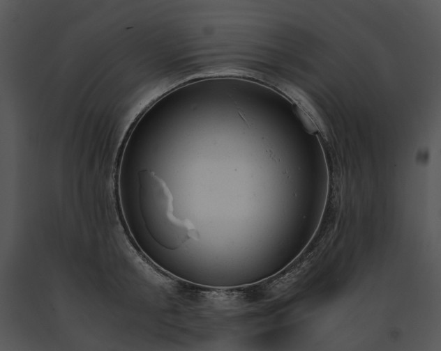 X0000091660805200708301438