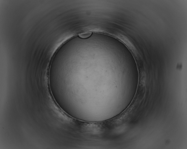 X0000091660806200708301438