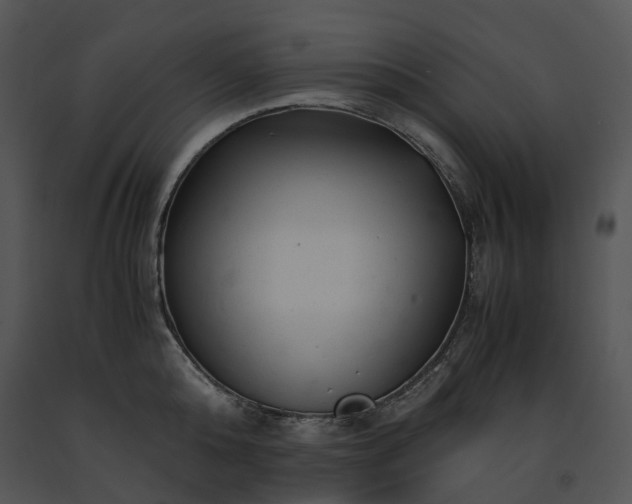 X0000091660808200708301438