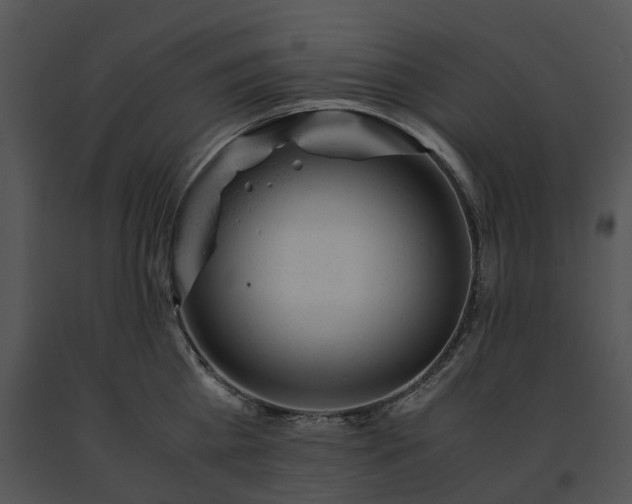 X0000091660809200708301437