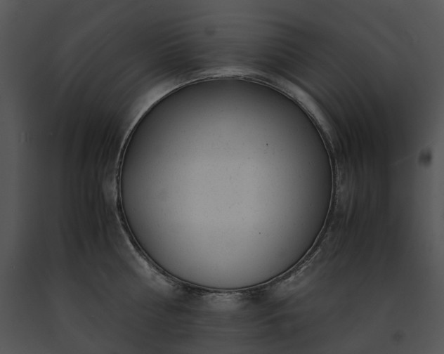 X0000091660810200708301437
