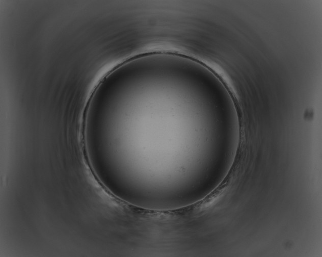 X0000091660815200708301437