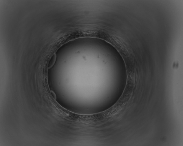 X0000091660817200708301437