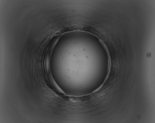 X0000091660818200708301437