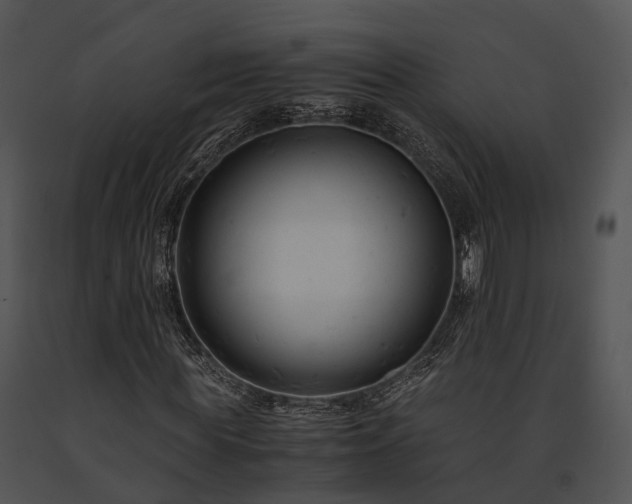 X0000091660819200708301437