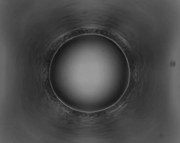 X0000091660821200708301437