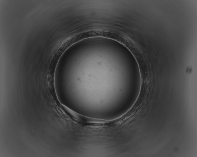 X0000091660822200708301437