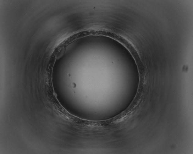 X0000091660823200708301437