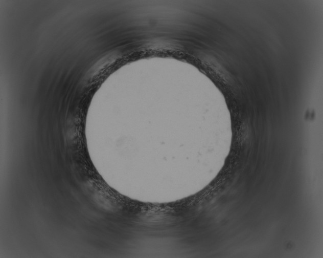 X0000091660824200708301437