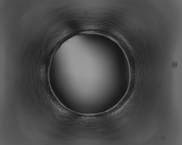 X0000091660825200708301437