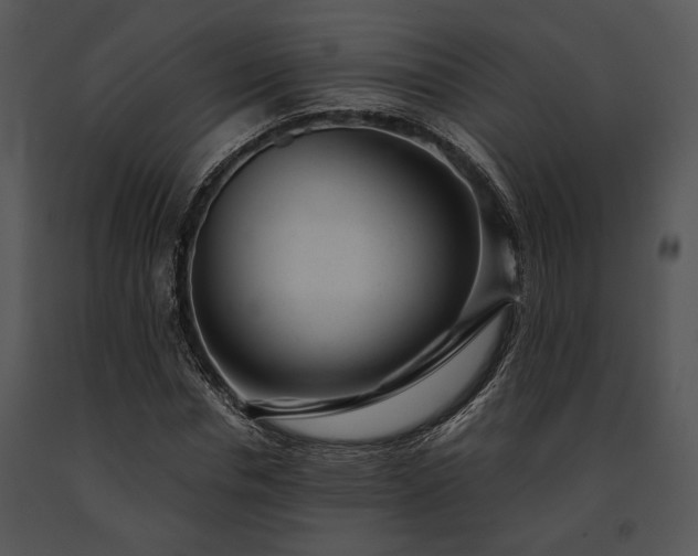 X0000091660826200708301437