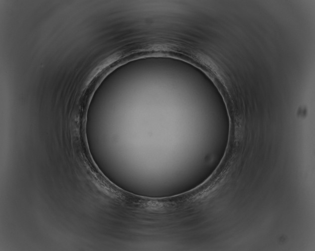X0000091660827200708301437
