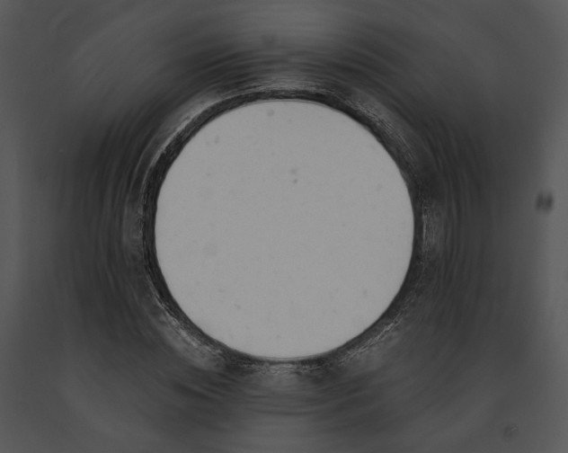 X0000091660828200708301437