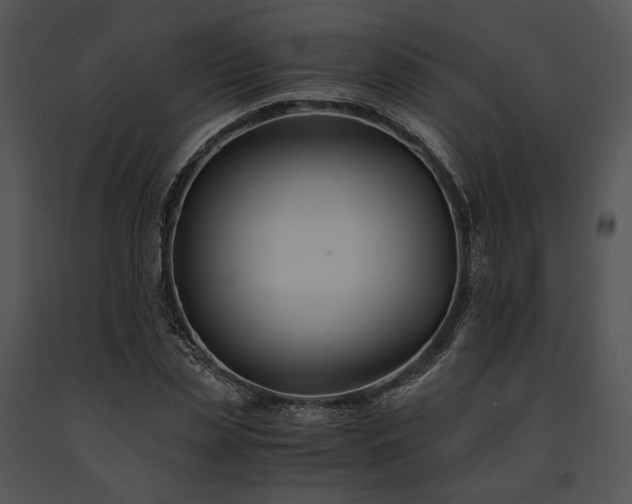 X0000091660829200708301437