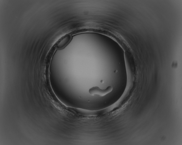 X0000091660830200708301437