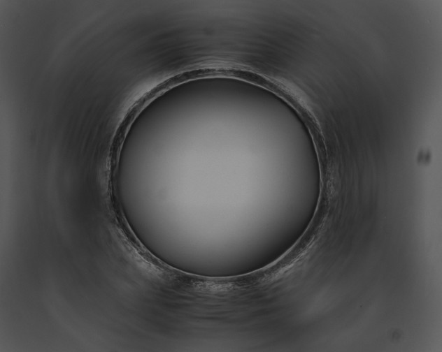 X0000091660831200708301437
