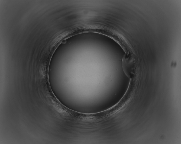 X0000091660833200708301437