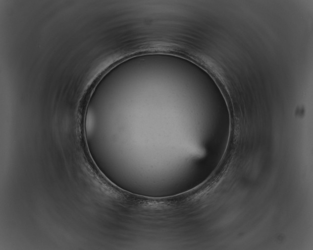 X0000091660835200708301437