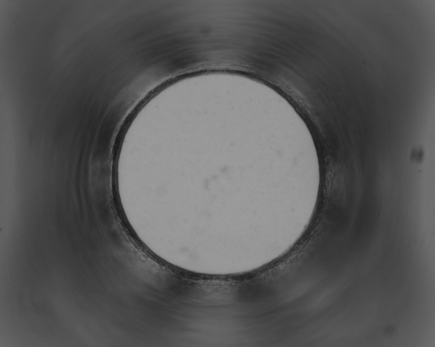 X0000091660836200708301437