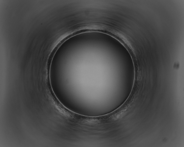 X0000091660837200708301437