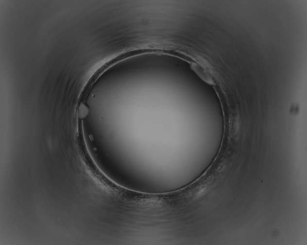 X0000091660838200708301437